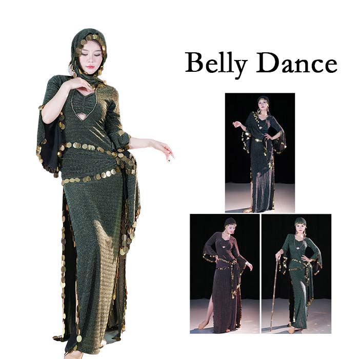 ベリーダンス衣装 ステージ演出 4点セット ガウンワンピース ヒップスカーフ ヘッドベール インナーパンツ コインフリンジ キラキラ 大人 オリエンタル エジプト サイディ バラディ パフォーマンス 民族ダンス衣装 ロング スリット saidi 練習着 レッスン着 セクシー画像