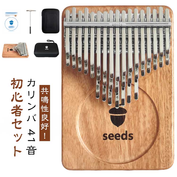 送料無料 ケース 41音 41音 親指ピアノ 初心者セット 楽器 教本 入門書 チューニング済み 指サック サムピアノ おしゃれ 楽譜 チューナー 初心者 子供 高齢者 天然木製 マホガニー カリンバ 可愛い かりんば
