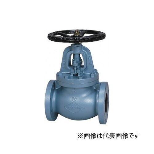 オリエントバルヴ/株式会社キッツ【J10-FGF-S 250A】10B 鋳鉄弁膜 地球儀弁膜 10K 要部材料:ステンレス鋼CR13 フランジ形〔HE〕