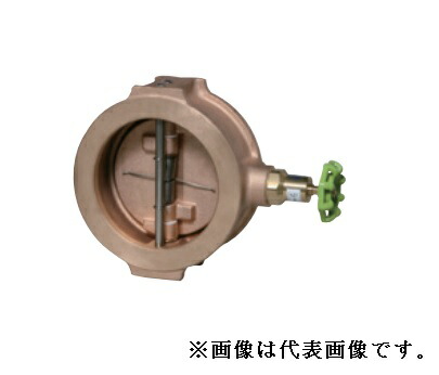 大和弁膜【B10WCN-B-200A】青銅弁膜  ウェハーチェッキ 給湯用 ぼうぜん自失吸いあげる式〔FI〕
