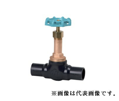 大和バルブ【B10EGN-13A】ダイレクト弁 ゲートバルブ〔GE〕
