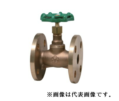 大和弁膜【B10FS-32A】青銅弁膜 立ちふさがる弁膜〔HH〕