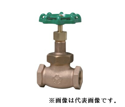 大和弁膜【B10SD-25A】青銅弁膜 立ちふさがる弁膜〔HH〕