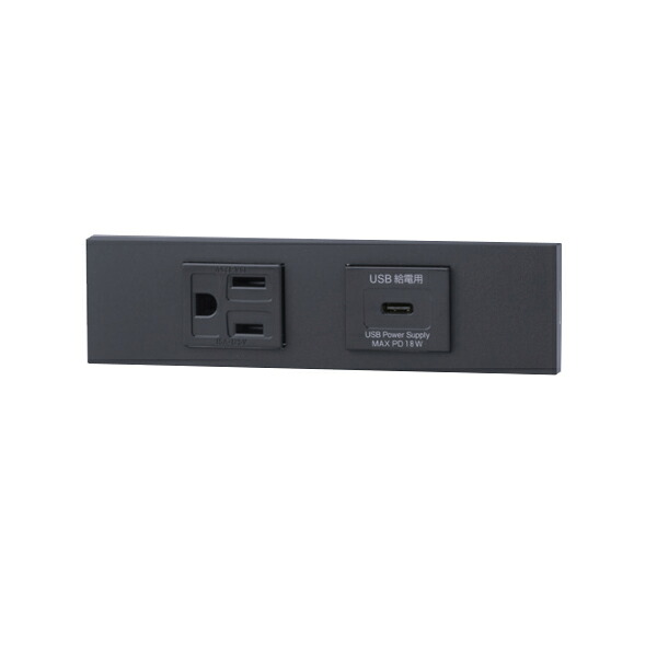 β神保電器 配線器具【KAG-2631】NKシリーズ 家具・機器用 接地コンセント＋USBコンセント(Type-C)セット(ソフトブラック) 受注生産