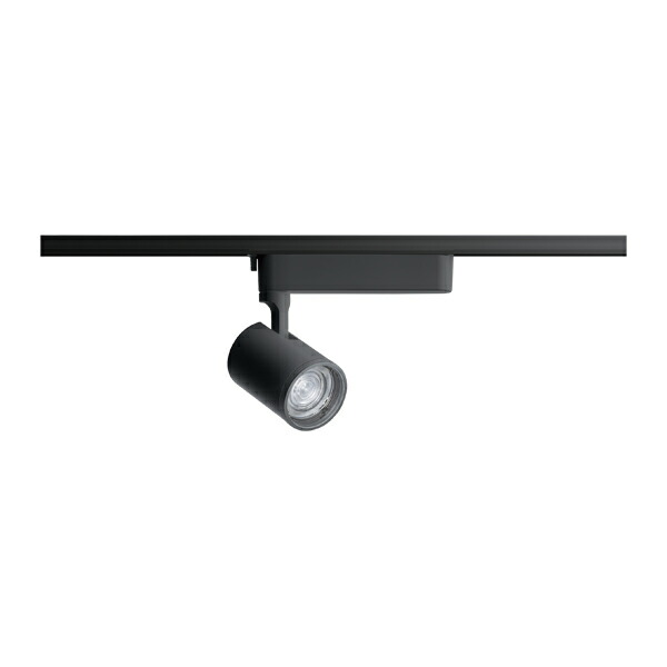 βパナソニック 照明装置手道具【NTS01009BLG1】導線導管打っ付け型 LED(白熱電球色) 注目の的 美光色 調光印字機(ライコン別売) LED 100形 黒いこと 受注生み出すこと {V}
