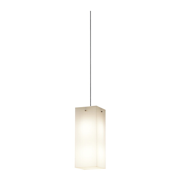 βパナソニック 照明器具【LGB19225BF】吹き抜け灯 Mサイズ 引掛シーリング方式 60形電球2灯相当 電球色 調光不可 アクリルカバー ブラック {E}