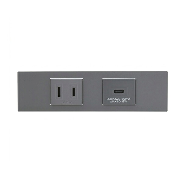β神保電器 配線器具【KAG-2746 SG】ソリッドグレー NKシリーズ 家具・機器用 コンセント+USBコンセント(Type-C)セット(シボ加工品) 受注生産｜家電と住設のイークローバー