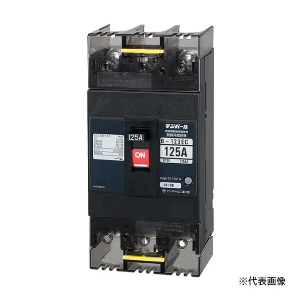 Яテンパール工業 【B123EC12】Eシリーズ(経済タイプ) 配線用遮断器 B-123EC 125A 表面形