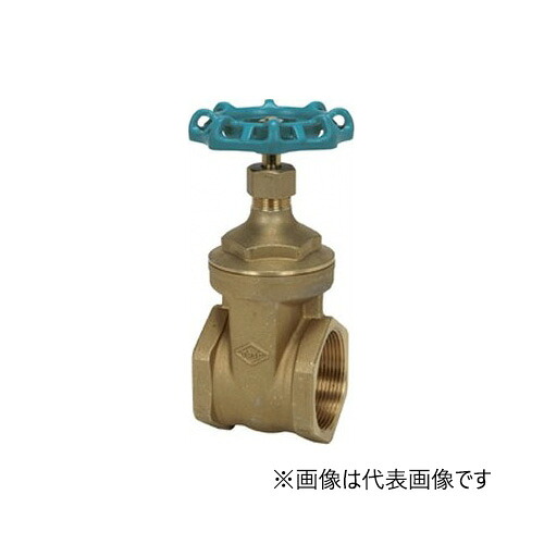 オリエントバルヴ/株式会社キッツ【RH-N 80A】3B 金管楽器弁膜 論理ゲート弁膜 125 ねじ込み形〔HH〕 配管資材-花・ガーデン・DIY