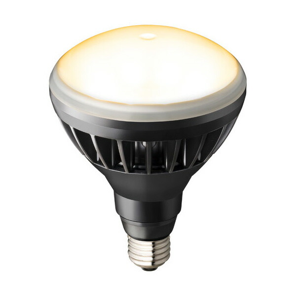 Я岩崎電気 【LDR11L-H/B827A】レディオック LEDアイランプ 11W (E26口金) 電球色 屋外・屋内用 黒色塗装｜クローバー資材館