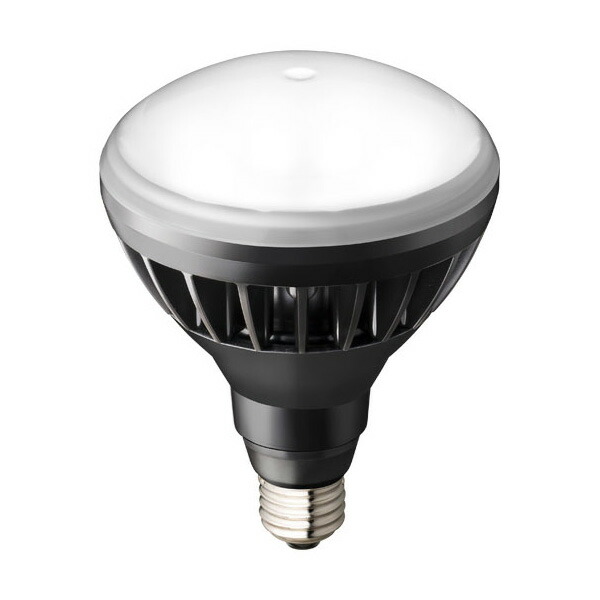 Я岩崎電気 【LDR11N-H/B850A】レディオック LEDアイランプ 11W (E26口金) 昼白色 屋外・屋内用 黒色塗装