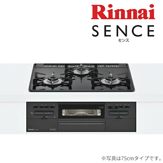 気質アップ 楽天市場 リンナイ ビルトインコンロ Rs31w28u32rbw センス 水無し両面焼グリルタイプ 標準幅60cm ブラック2 クローバー資材館 超激安 Www Mbbsdds2k23 Org 気質アップ 楽天市場 リンナイ ビルトインコンロ Rs31w28u32rbw センス 水無し両面焼グリルタイプ 標準幅60cm ブラック2 クローバー資材館 超激安 Www Mbbsdds2k23 Org