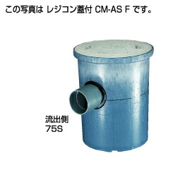 302807.jpg