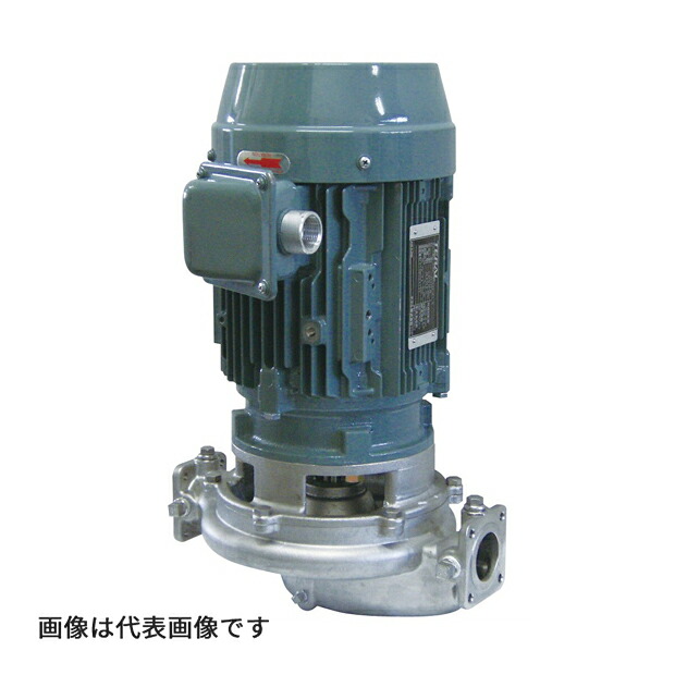 ●寺田 テラダ揚水機 【TSLP2-40-6.4E】TSLP2形(2極) SCS13/SUS304 機械的判子式 原動機付 60サイクル 差しわたし40粍 最終生産物0.4kW 受注生み出すこと〔FJ〕