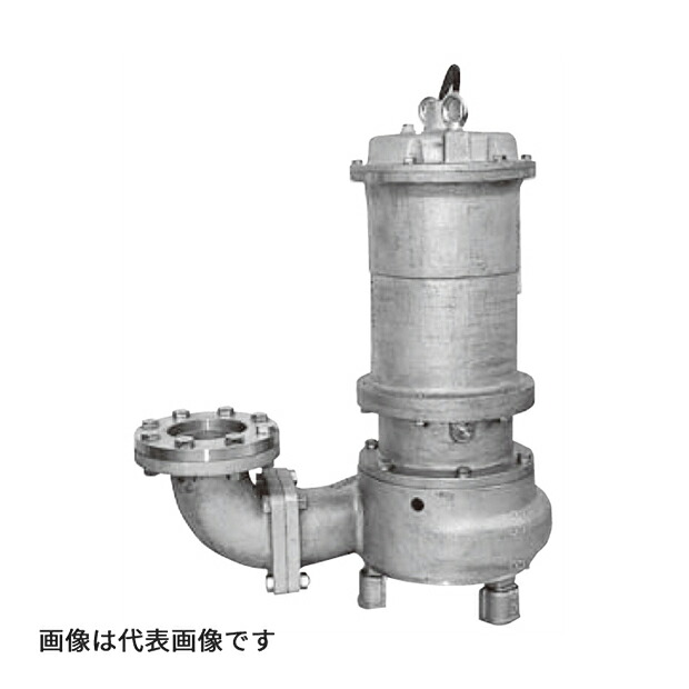 ●寺田 テラダポンプ 【CS4N-004G】防食形ステンレス水中ポンプ CS-N形(非自動) SCS14/SUS316 口径50mm 出力0.4kW 受注生産〔FJ〕