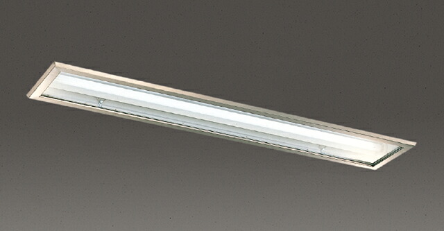 ▲β東芝 照明器具【LER-42438-LS9】ＬＥＤ直管器具 直管ランプシステム埋込２灯 ランプ別売 受注生産 ｛S2｝