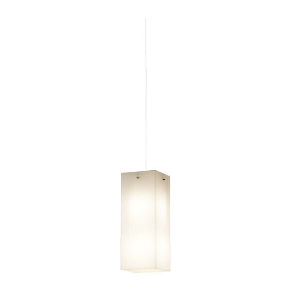 βパナソニック 照明器具【LGB19225WF】吹き抜け灯 Mサイズ 引掛シーリング方式 60形電球2灯相当 電球色 調光不可 アクリルカバー ホワイト {E}