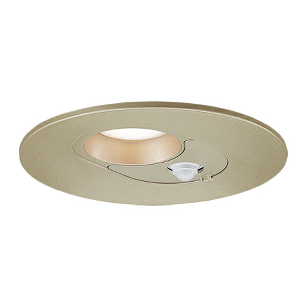 βパナソニック 照明器具【LRDC1202LLE1】天井埋込型 LED（電球色） 軒下用ダウンライト 浅型8H・高気密SB形・拡散タイプ{E}