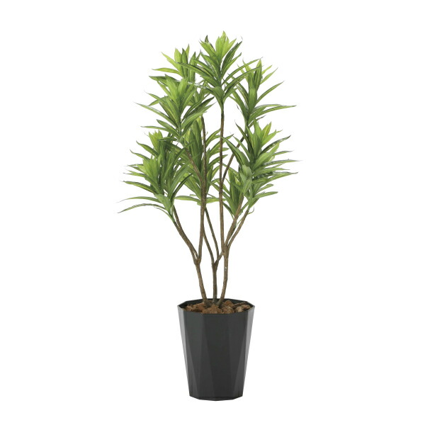 アートグリーン 人工観葉植物 光触媒 光の楽園 フレッシュドラセナ Bla Org Bw