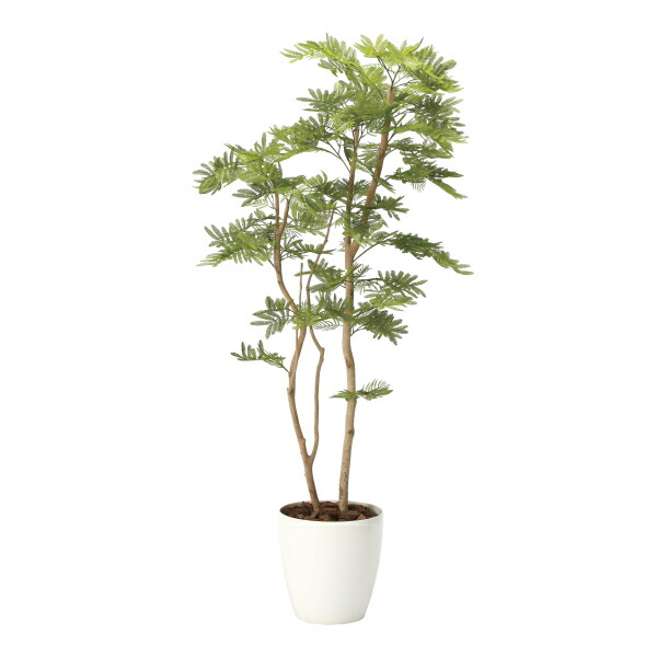 《美術緑であること》《人工観葉草木》光触媒 光のエデンの園 ねむの木１．８（ポリ製）