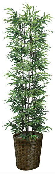 《竹・バンブー》《アートグリーン》《人工観葉植物》光触媒 光の楽園 黒竹1.8(幹:天然黒竹)|クローバープレイン