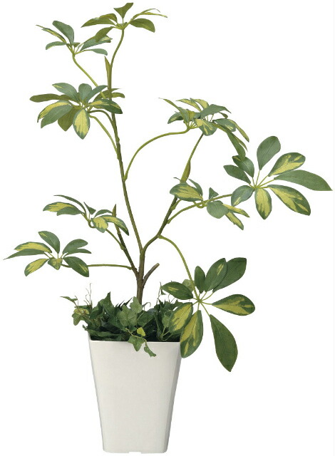 数量限定 アートグリーン 人工観葉植物 光触媒 光の楽園 シェフレラ 売れ筋 Lexusoman Com