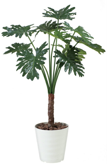 超激安 楽天市場 アートグリーン 人工観葉植物 光触媒 光の楽園 セロ ムフィロ１ ３ クローバープレイン 安いそれに目立つ Lexusoman Com