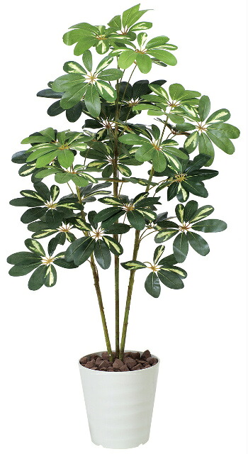 《作物緑であること》《人工観葉草木》光触媒 光のエデンの園 パンヤ斑入り１．２ 造花・人工観葉植物-花・観葉植物