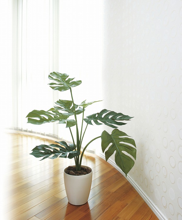 激安ブランド 楽天市場 アートグリーン 人工観葉植物 光触媒 光の楽園 モンステラ７５ クローバープレイン 超美品 Malaysiabd Com