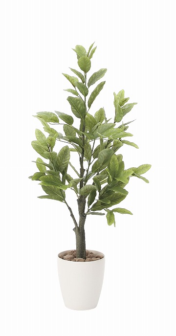 《アートグリーン》《人工観葉植物》光触媒　光の楽園　レモン１．０｜クローバープレイン