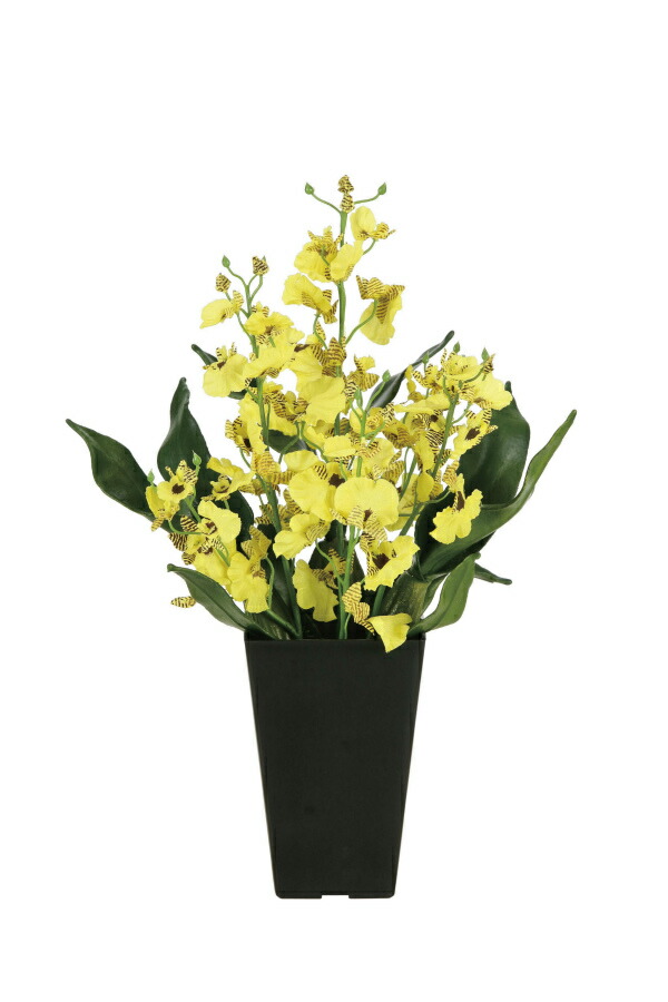 楽天市場】オンシジューム 白緑 6本 光触媒アートフラワー（造花