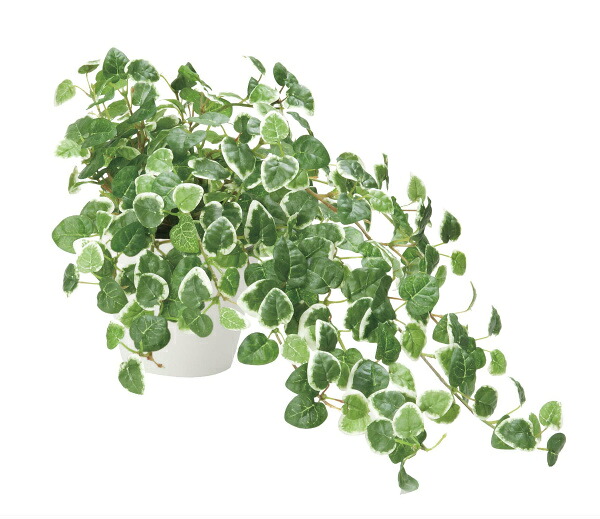 《アートグリーン》《人工観葉植物》 光触媒　光の楽園　プミラ