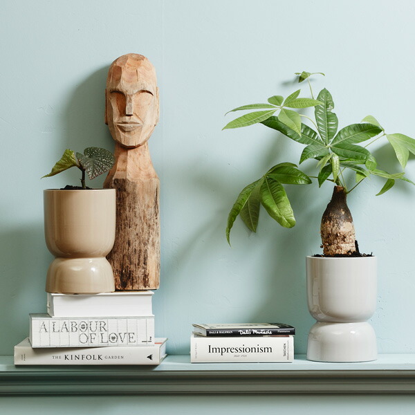 楽天市場】SERAX(セラックス) カーニボアベース Φ14 4号 ガラスドーム