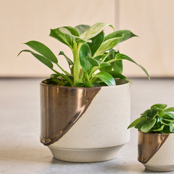 SERAX(セラックス) グリッドポット Φ27 6号 7号 鉢カバー 鉢ポット プランターカバー フラワーポット 底穴なし 土器 H24cm 丸型 SERAX(セラックス) グリッドポット Φ27 6号 7号 鉢カバー 鉢