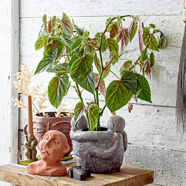 まーる　花瓶　鉢　プランター　ファットラバ　ブルーミングヴィル　ポット 楽天市場】Bloomingville(ブルーミングヴィル) フェイス