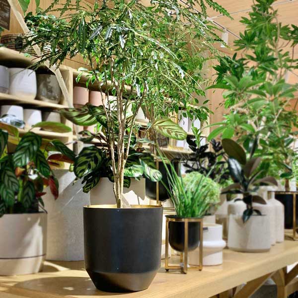 楽天市場】CLOVER(クローバー) アルミプランター ウィズ アイアン