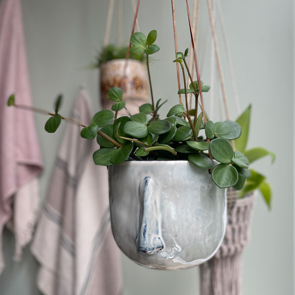 楽天市場】Hubsch(ヒュプシュ) エアロハンギングポット Φ17 ホワイト