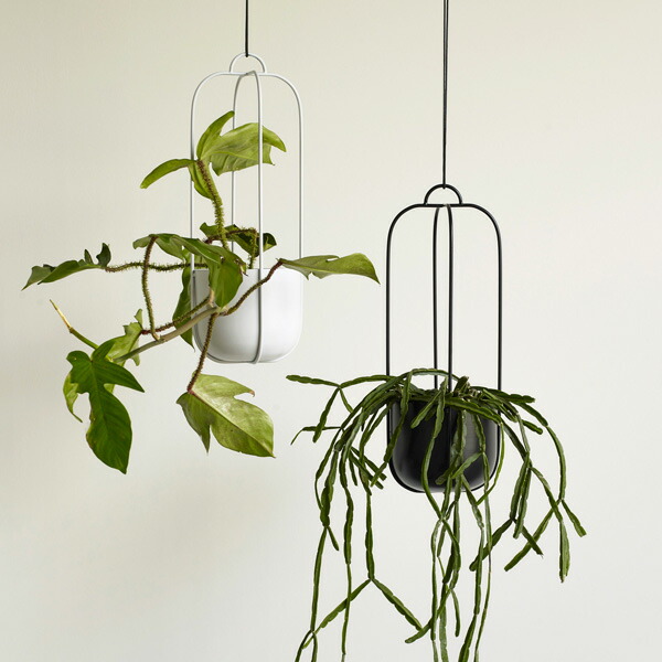 楽天市場】Hubsch(ヒュプシュ) エアロハンギングポット Φ17 ホワイト