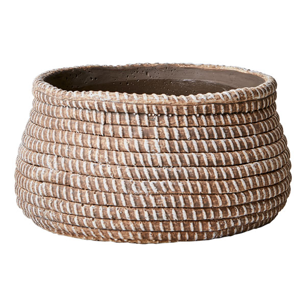 楽天市場】SERAX(セラックス) カーニボアベース Φ14 4号 ガラスドーム