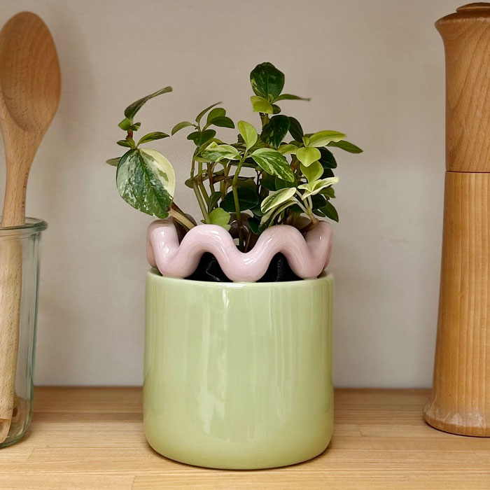 楽天市場】&Klevering(アンドクレベリン) カプセルベース グレー