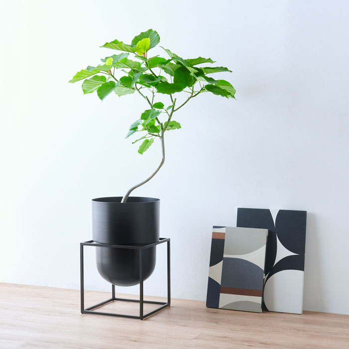 楽天市場】CLOVER(クローバー) アルミプランター ウィズ アイアン