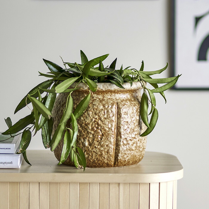 楽天市場】VILLARI ヴィラリ ブルーミングバタフライ ポット ピンク