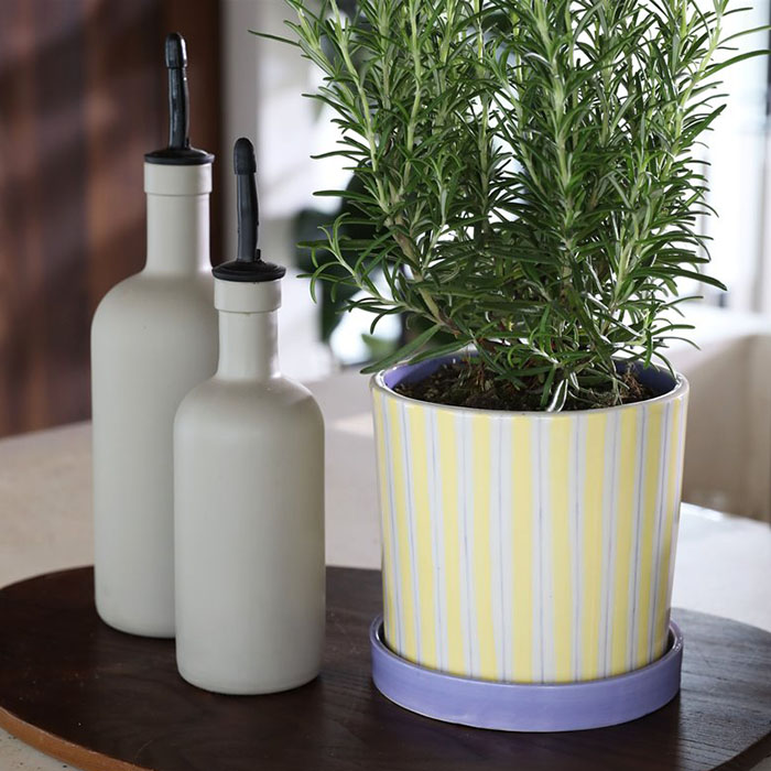 楽天市場】&Klevering(アンドクレベリン) カプセルベース グレー