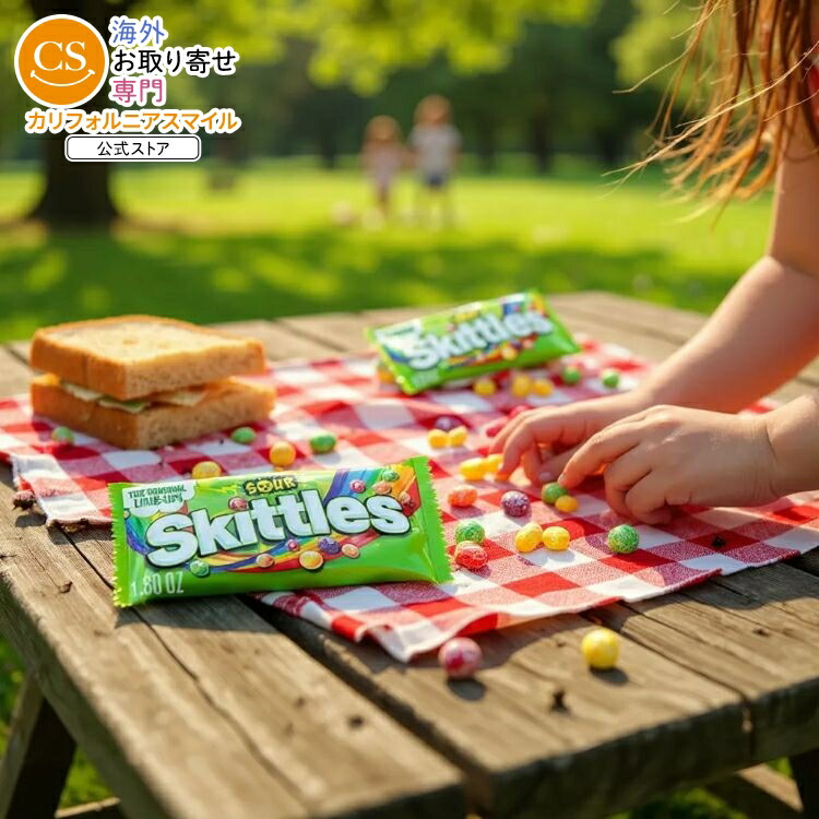 【アメリカコストコ品】スキットルズ サワー チューイー キャンディ フルサイズ 約51g 24 個入り Skittles Sour Chewy Candy, Full Size, 1.8 oz, 24-count【お取り寄せ商品】【合わせて買いたい】