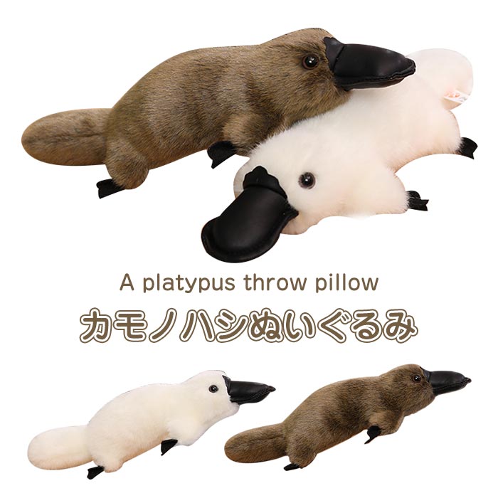 楽天市場】カモノハシ KOSEN ケーセン 43cm 