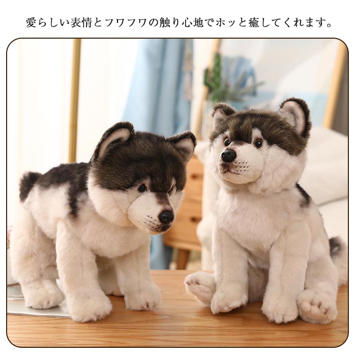 楽天市場 犬 ぬいぐるみ リアル 犬のぬいぐるみ イヌ グッズ 犬雑貨 犬のぬいぐるみ 愛犬家 おもちゃ ギフト お祝い 誕生日 プレゼント クリスマス Keiwa