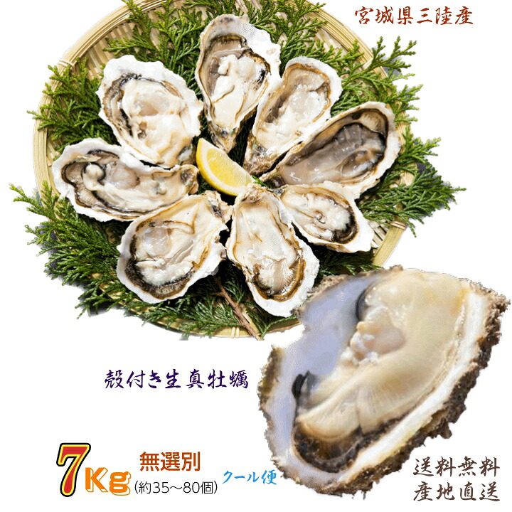 牡蠣 宮城県 三陸・牡鹿半島産 殻付き生牡蠣 無選別 7kg /箱 産地直送 送料無料｜こだわりフード