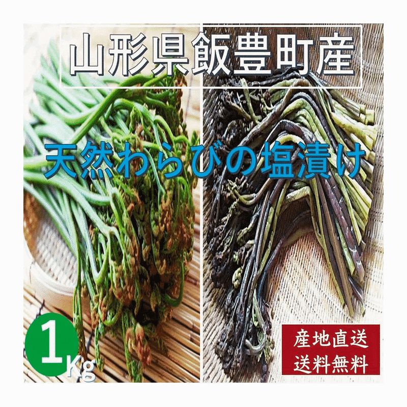 天然わらび 収穫当日発送　予約販売　この商品は購入しないで下さい namawara-1kg.jpg