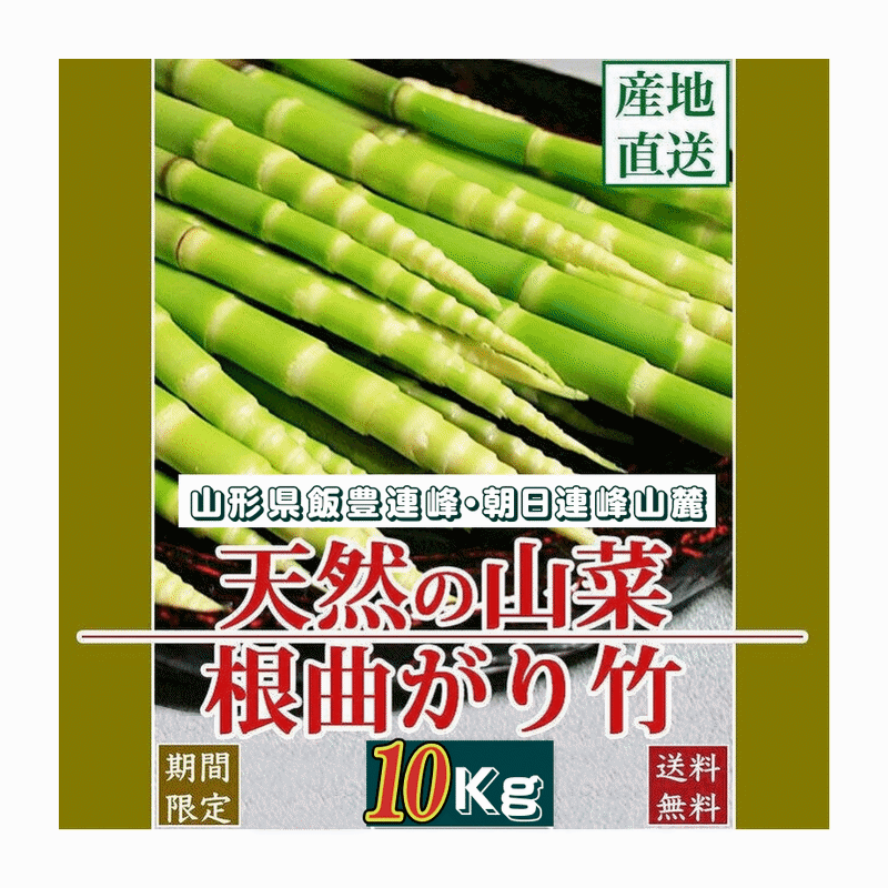【楽天市場】天然山菜 天然根曲がり竹/10Kg自然の恵み 限定予約販売 山形県飯豊連峰 送料無料 クール便：こだわりフード