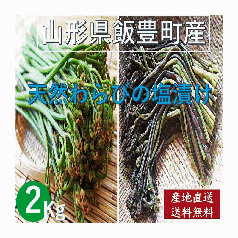 採りたて新鮮秋田県産天然蕨　わらび　　専用ツールセンター 採りたて新鮮秋田県産天然蕨 わらび 専用ツールセンター - メルカリ